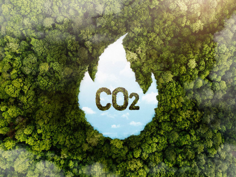 PLN Targetkan Pengurangan Emisi Hingga 2 Juta Ton CO2 Lewat Perdagangan Karbon